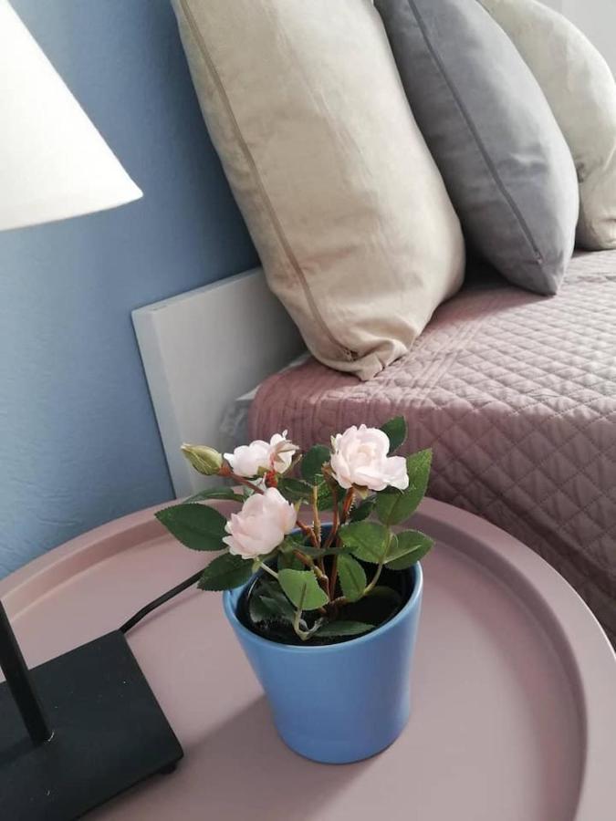 The Rose Apartment Волос Екстериор снимка